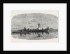 Skin Boats Used by the Natives of Point Barrow by Anonymous