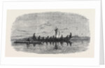 Skin Boats Used by the Natives of Point Barrow by Anonymous