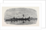 Skin Boats Used by the Natives of Point Barrow by Anonymous