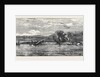 Bombardment of Taganrog by Anonymous