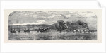 Bombardment of Taganrog by Anonymous
