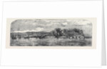 Bombardment of Taganrog by Anonymous