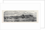 Bombardment of Taganrog by Anonymous