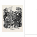 Refreshment Room in Kensington Gardens by Anonymous