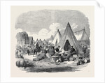 The Commissariat Camp in the Crimea, 3rd Division by Anonymous