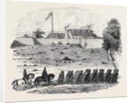 The Late Disaster at Mallaghea, Return of Part of the 3rd West India Regiment to Freetown by Anonymous