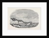 The Gun Boat Ruby, and Boats of the Arrogant and Magicienne Reconnoitring the Strait of Stralsund by Anonymous