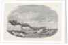 The Gun Boat Ruby, and Boats of the Arrogant and Magicienne Reconnoitring the Strait of Stralsund by Anonymous