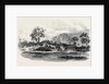 Part of the Mandingo Town of Malaghea, on the Mellicourie River, West Coast of Africa by Anonymous
