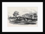 Part of the Mandingo Town of Malaghea, on the Mellicourie River, West Coast of Africa by Anonymous