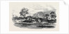 Part of the Mandingo Town of Malaghea, on the Mellicourie River, West Coast of Africa by Anonymous