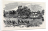 Grand Field Day of the Rifle Corps, at Torquay by Anonymous