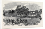 Grand Field Day of the Rifle Corps, at Torquay by Anonymous