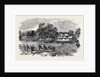 Grand Field Day of the Rifle Corps, at Torquay by Anonymous