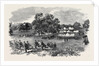Grand Field Day of the Rifle Corps, at Torquay by Anonymous