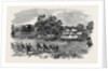 Grand Field Day of the Rifle Corps, at Torquay by Anonymous