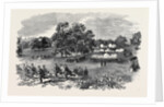 Grand Field Day of the Rifle Corps, at Torquay by Anonymous