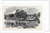 Grand Field Day of the Rifle Corps, at Torquay by Anonymous