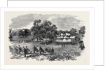 Grand Field Day of the Rifle Corps, at Torquay by Anonymous