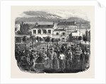 Popular Amusements of Paris: The Parisian California by Anonymous