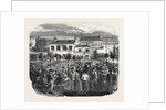 Popular Amusements of Paris: The Parisian California by Anonymous