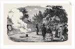 Captain Disney's War Projectile Experiments, in the Grounds of Mulgrave House, Fulham by Anonymous