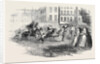 Donkey Races in Alexandria. by Anonymous