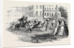 Donkey Races in Alexandria. by Anonymous