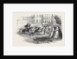 Donkey Races in Alexandria. by Anonymous
