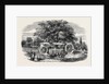 Removal of a Tree by Barron's Machine, in the Royal Botanic Society's Garden, Regent's Park by Anonymous