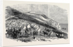 Encampment of Omer Pacha, Near Souchoum-Kaleh by Anonymous