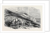 Encampment of Omer Pacha, Near Souchoum-Kaleh by Anonymous