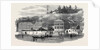 The Submarine Electric Telegraph Station, on the Bosphorus by Anonymous