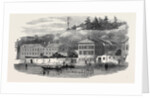 The Submarine Electric Telegraph Station, on the Bosphorus by Anonymous