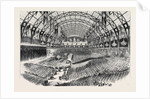 Grand Musical Fete to the King of Sardinia, in the Palace of Industry at Paris by Anonymous