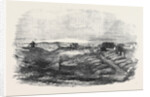 Inkerman Mill, the Scene of the Recent Explosion. by Anonymous