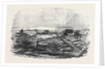 Inkerman Mill, the Scene of the Recent Explosion. by Anonymous