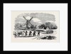 Village of Poprova, Fourteen Miles from Fort Kinburn by Anonymous