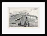 The Wimbledon Prize Meeting, the Lords' and Commons' Match, July 18, 1874 by Anonymous