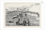 The Wimbledon Prize Meeting, the Lords' and Commons' Match, July 18, 1874 by Anonymous