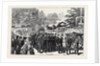 The Funeral of Marshal Concha at Madrid, July 18, 1874 by Anonymous