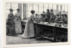 National Training School of Cookery at South Kensington: Afternoon, Lecture on Practical Cookery Seasoning Fricandeau of Veal by Anonymous