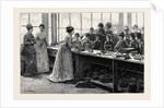 National Training School of Cookery at South Kensington: Afternoon, Lecture on Practical Cookery Seasoning Fricandeau of Veal by Anonymous