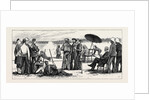 Wimbledon Camp, Shooting for the Army and Navy Challenge Cup, July 25, 1874 by Anonymous