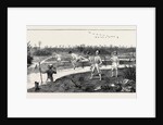 Crossing the Pitch Lake in the Island of Trinidad, West Indies by Anonymous