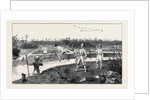Crossing the Pitch Lake in the Island of Trinidad, West Indies by Anonymous