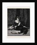 The Fair Beauty and the Dark One by Anonymous