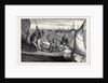 Rounding the Committee Steamer, a Sketch at a Thames Sailing Barge Match, August 1, 1874 by Anonymous