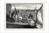 Rounding the Committee Steamer, a Sketch at a Thames Sailing Barge Match, August 1, 1874 by Anonymous
