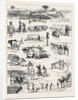 The Indian Famine, Sketches in the Affected Districts, by a Member of the Famine Relief Staff by Anonymous